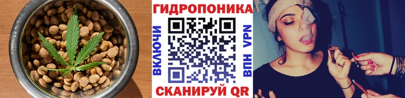 Canna-Cookies марихуана  Купить закладки  Балаково 