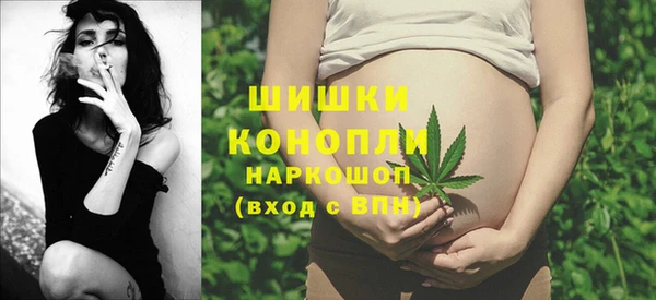 спайс Кулебаки