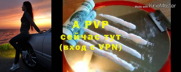 дмт Лабытнанги