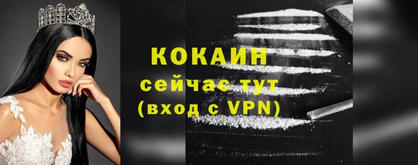 спайс Кулебаки