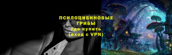 мдпв Куйбышев