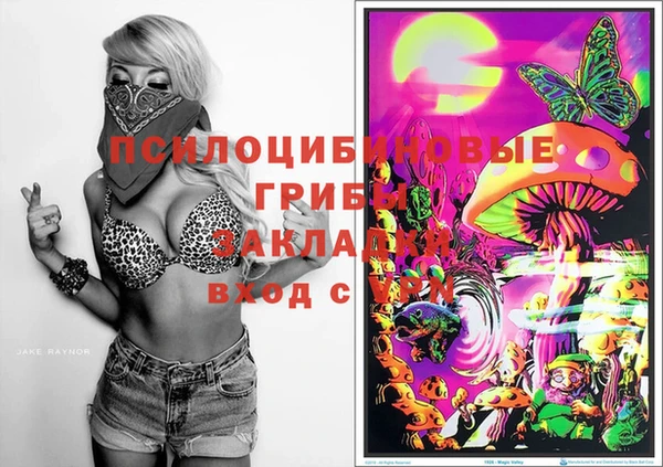 дмт Лабытнанги