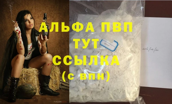спиды Лагань