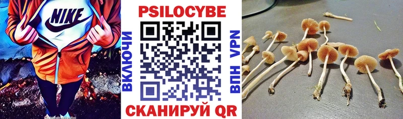 Псилоцибиновые грибы Magic Shrooms  Купить закладки  Балаково 